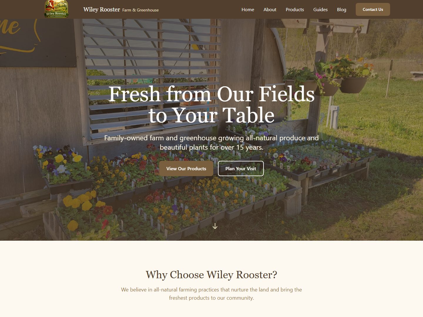 Wiley Rooster Farm website hero section